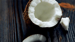 Coconutz Video