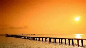 corporate video investment company