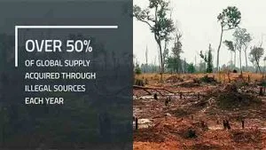 explainer video finance